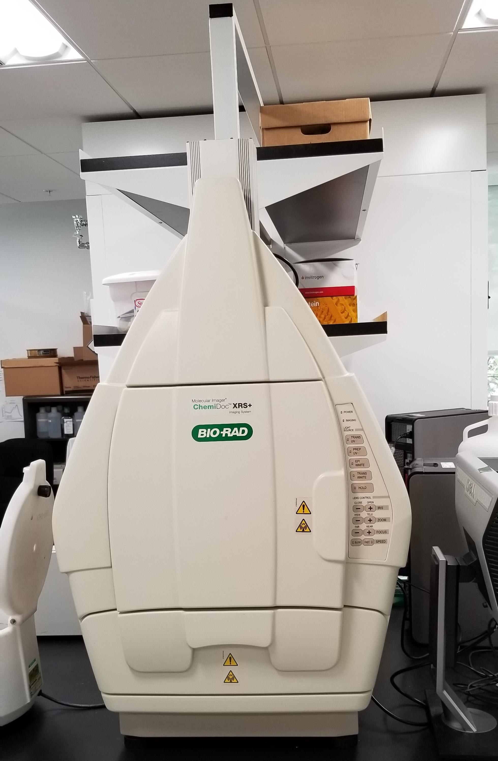 Bio Rad ChemiDoc XRS+